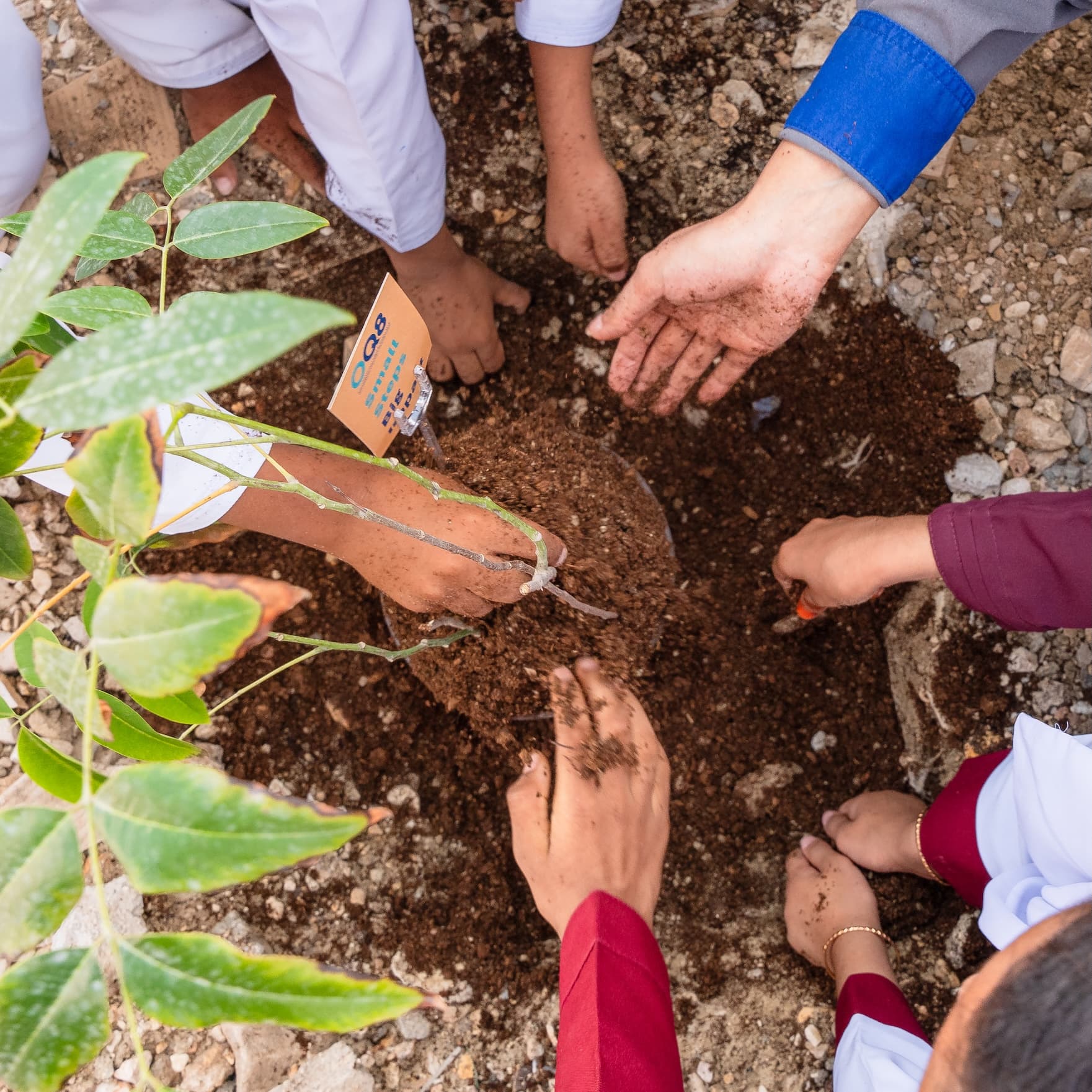 Environment Stewardship