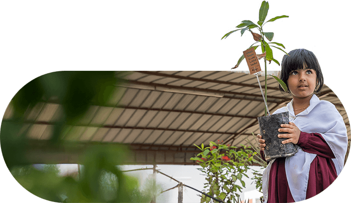 Our Progress in Focus